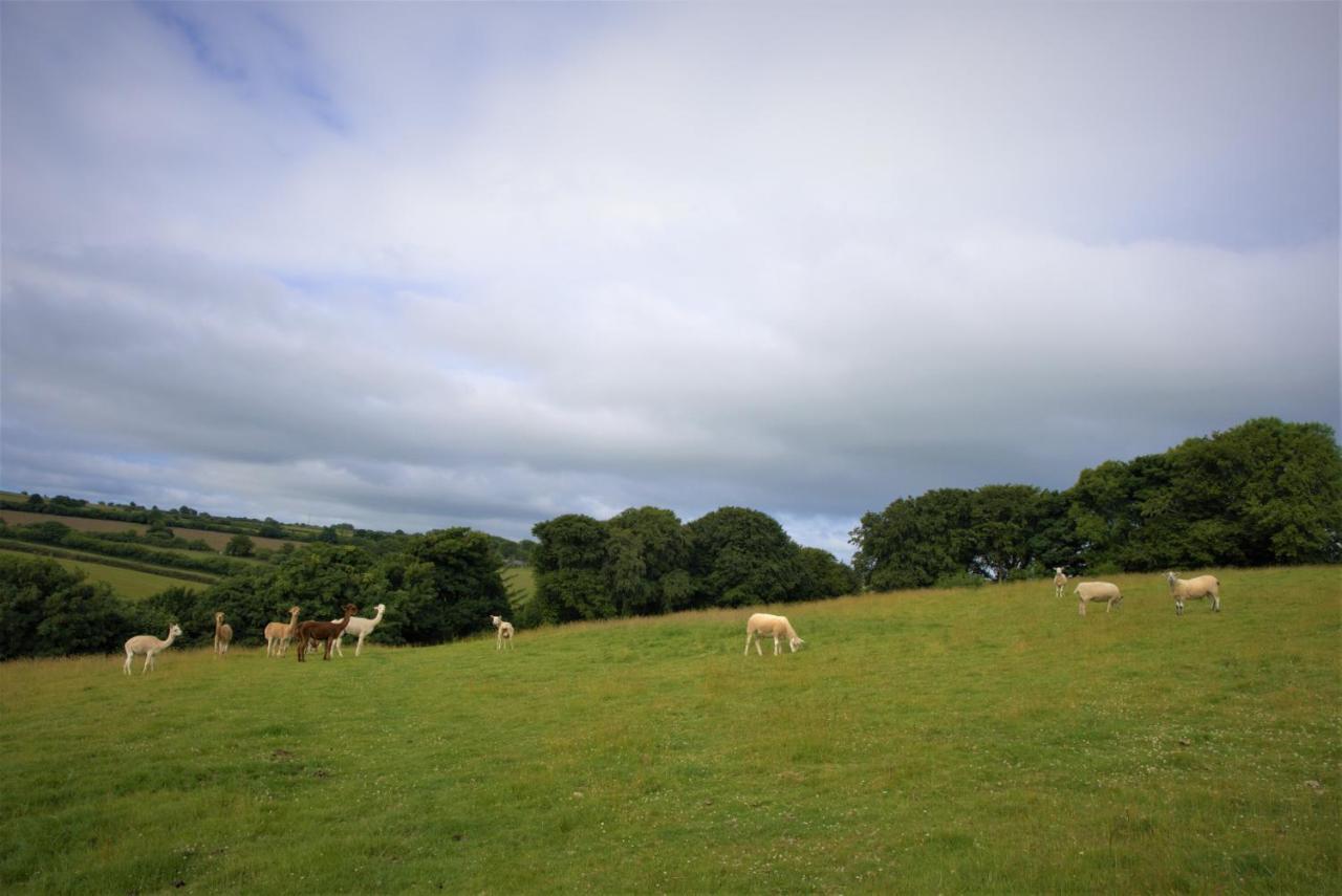Ta Mill Holiday Cottages & Lodges -Ta Mill House Launceston Buitenkant foto